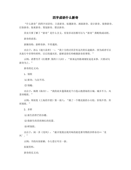 四字成语什么新奇