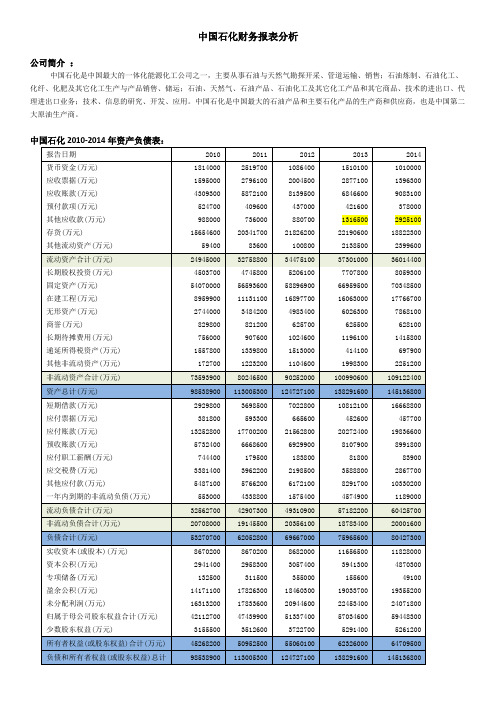 中国石化财务报表分析 上市公司财务报表分析