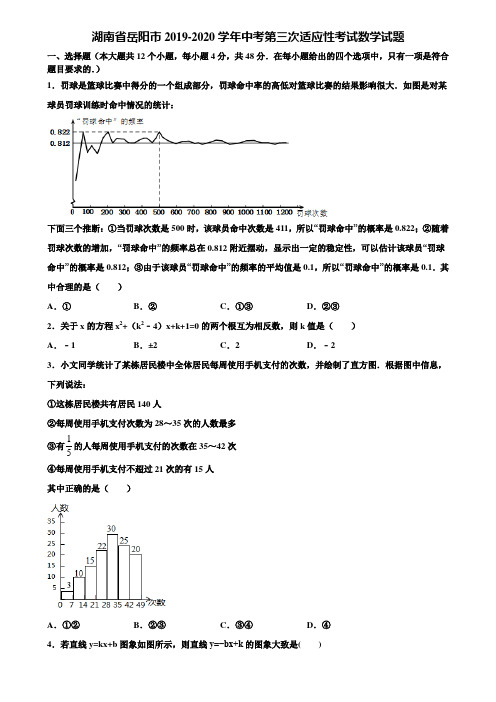 湖南省岳阳市2019-2020学年中考第三次适应性考试数学试题含解析