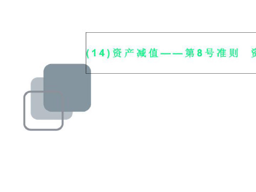 (14)资产减值——第8号准则 资产减值