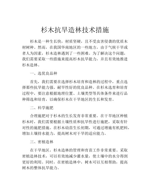 杉木抗旱造林技术措施