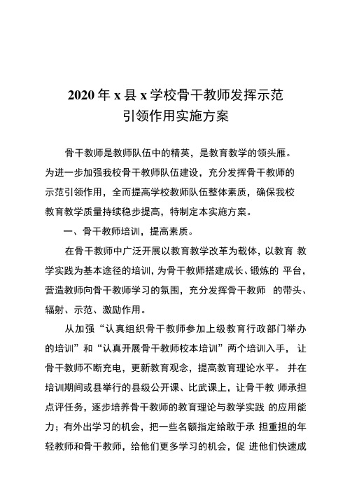 2020年学校骨干教师发挥引领作用实施方案