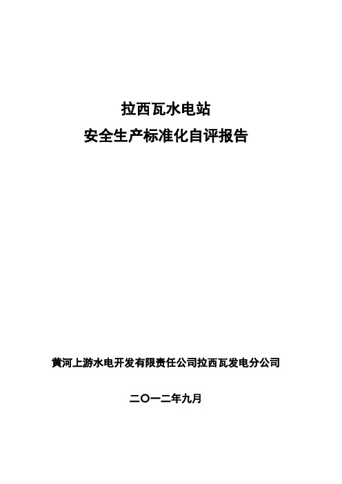 水电站安全生产标准化自评报告