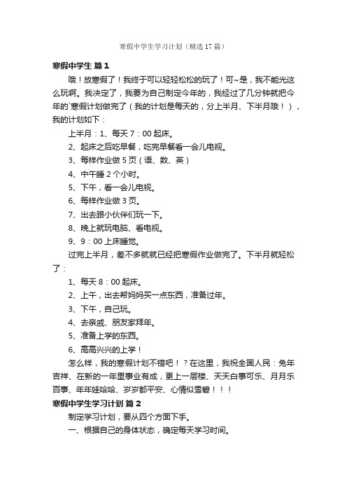 寒假中学生学习计划（精选17篇）