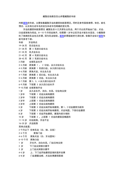 藏獒在线教您怎么样看藏獒的年龄