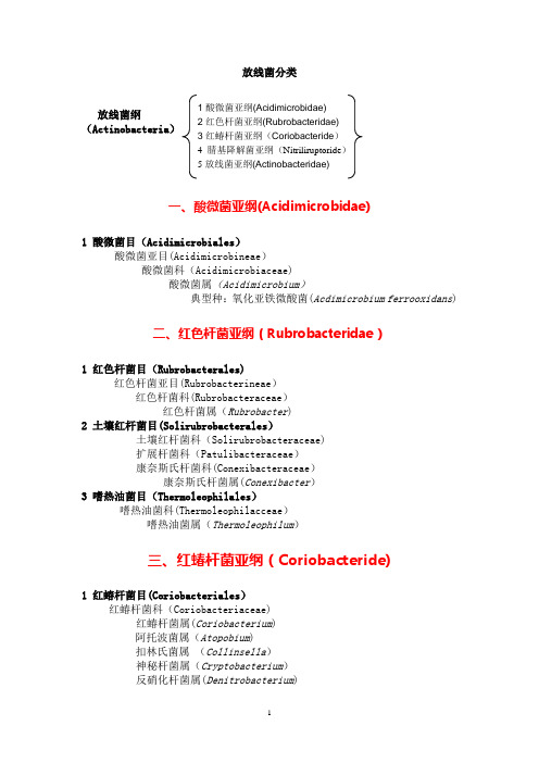 放线菌分类-完整