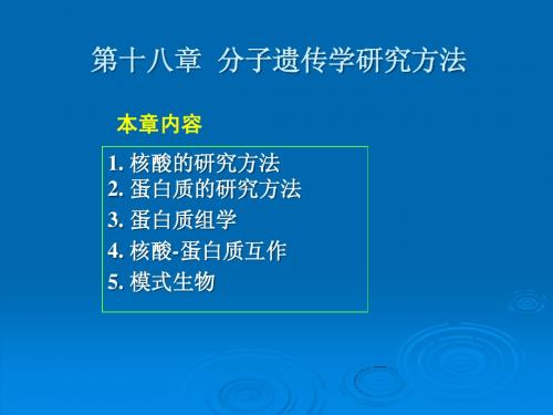 18 第十八章__分子遗传学研究方法