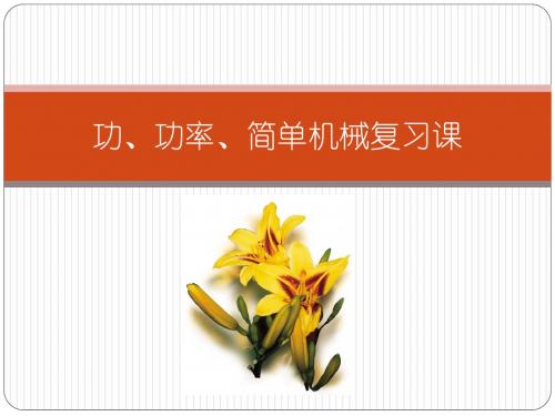 初中物理:功、功率、简单机械复习课