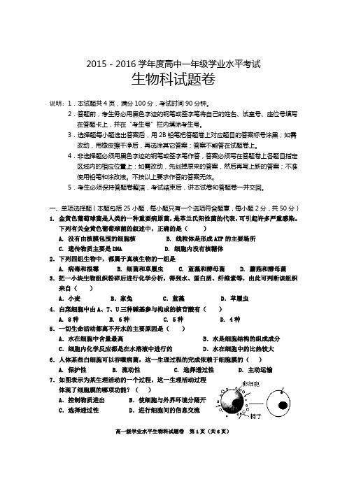 15~16高一学业水平测试生物科试卷