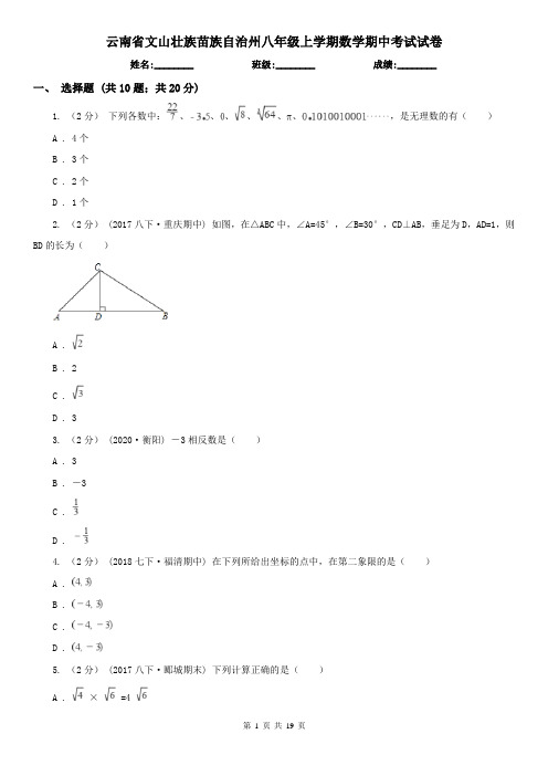 云南省文山壮族苗族自治州八年级上学期数学期中考试试卷