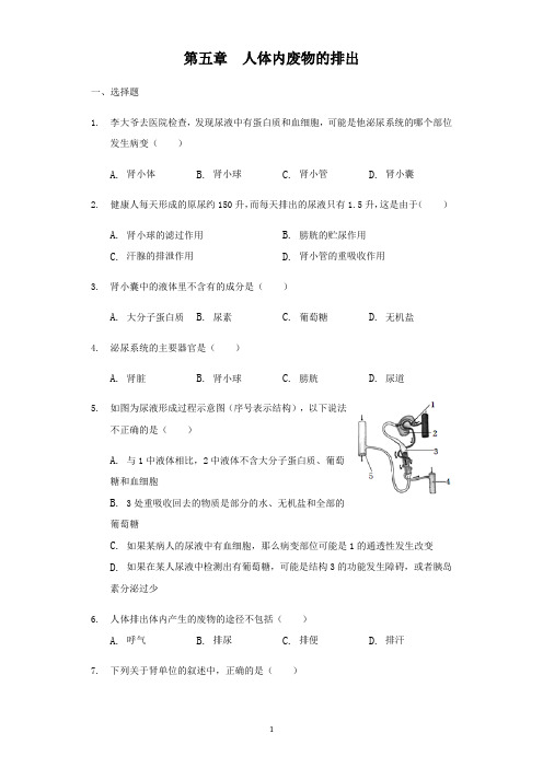 人教版七年级生物下册第五章人体内废物的排出检测试题及答案解析