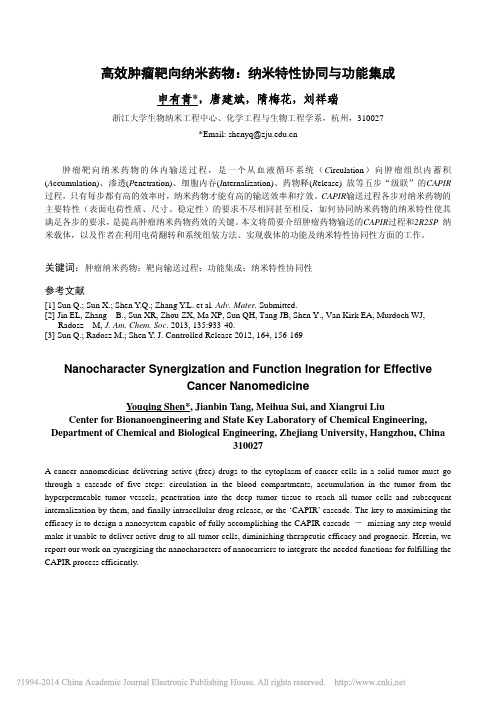 高效肿瘤靶向纳米药物_纳米特性协同与功能集成_申有青