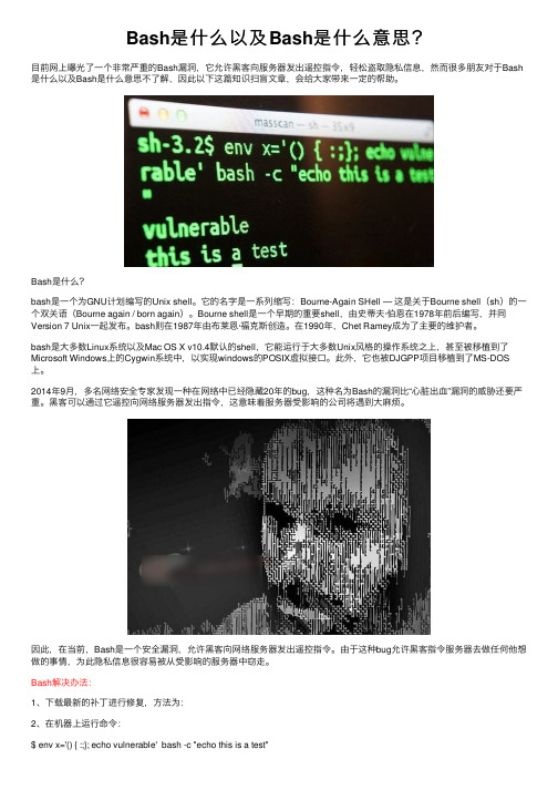 Bash是什么以及Bash是什么意思？
