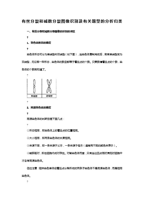 高中生物有丝分裂和减数分裂图解