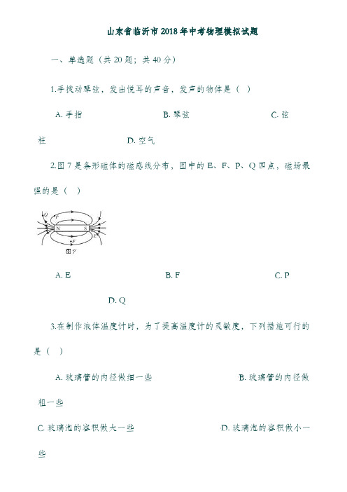 (山东省)临沂市2018年中考物理模拟试题.doc