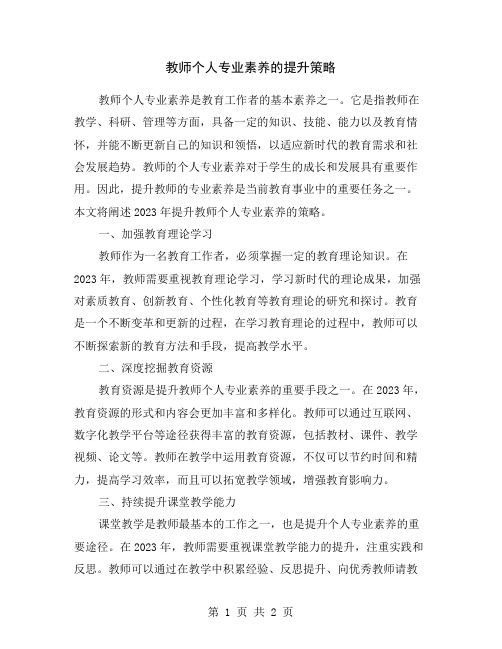 教师个人专业素养的提升策略