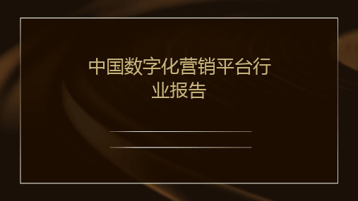 中国数字化营销平台行业报告