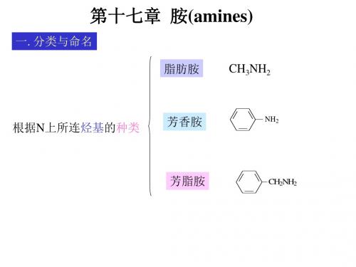 第17章胺-精品文档