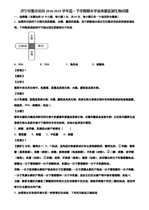 济宁市重点名校2018-2019学年高一下学期期末学业质量监测生物试题含解析