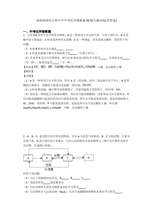 深圳深圳市公明中学中考化学推断题80题专题训练(含答案)