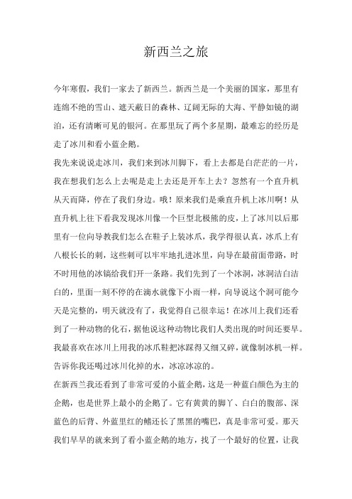 初一游记新西兰之旅