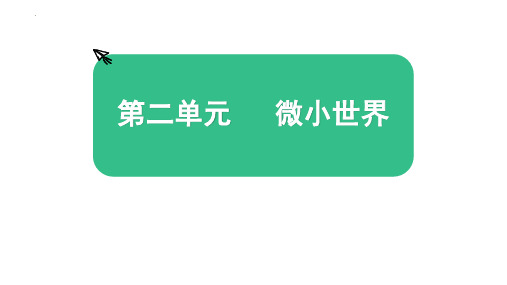 最新教科版小学六年级科学上册《第二单元地球的运动单元复习》优质教学课件