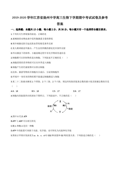 2019-2020学年江苏省扬州中学高三生物下学期期中考试试卷及参考答案