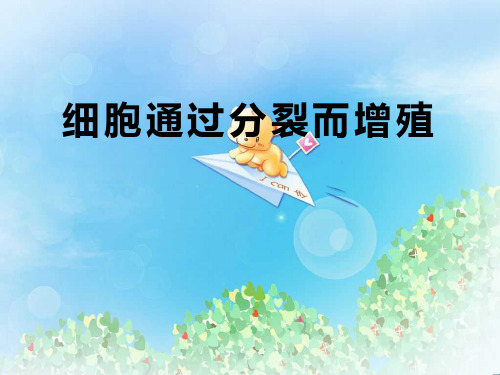 《细胞通过分裂而增殖》PPT  图文