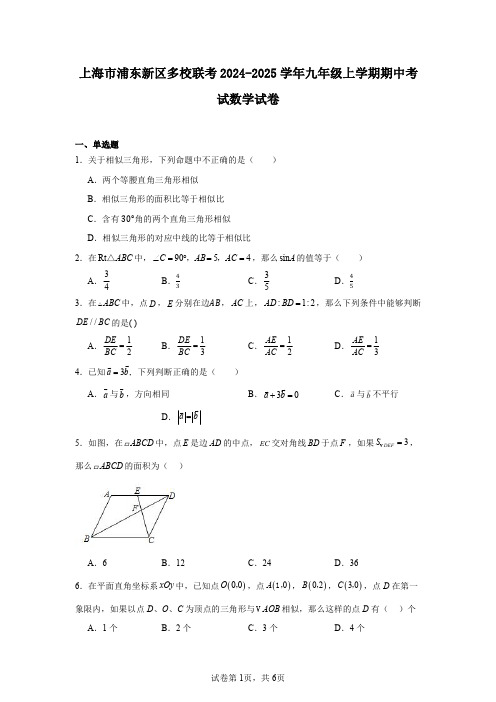 上海市浦东新区多校联考2024-2025学年九年级上学期期中考试数学试卷