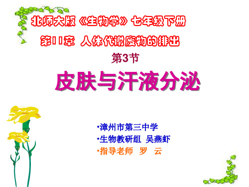 皮肤与汗液分泌