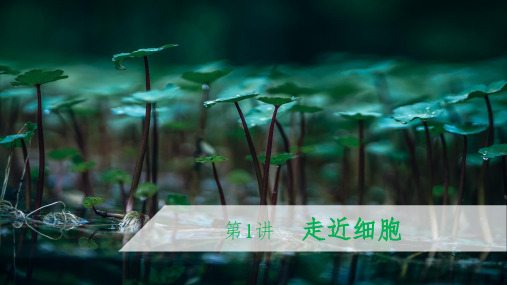 高中生物必修一《走进细胞》完整ppt课件