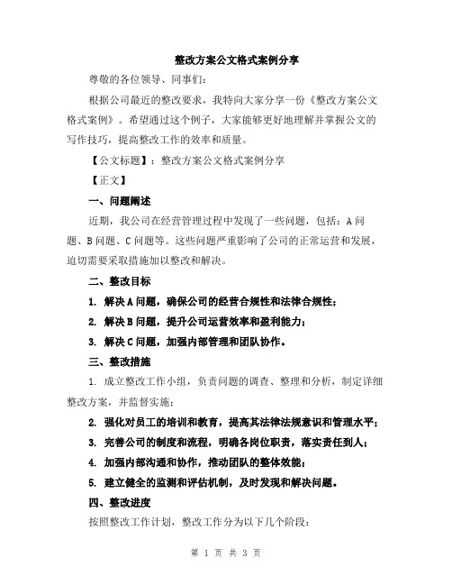 整改方案公文格式案例分享