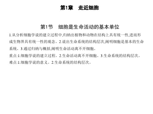 人教版高中生物必修第1册 第1章 走近细胞 第1节 细胞是生命活动的基本单位 (3)