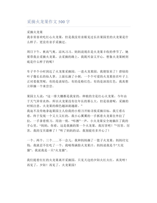 采摘火龙果作文500字