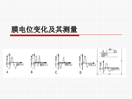 膜电位变化及其测量讲解