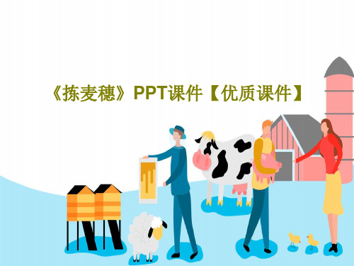 《拣麦穗》PPT课件【优质课件】共24页