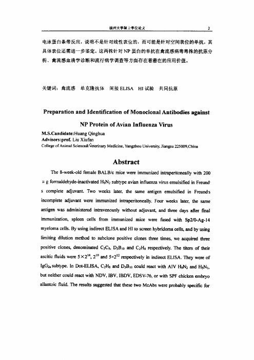 禽流感病毒np蛋白单克隆抗体的研制与鉴定