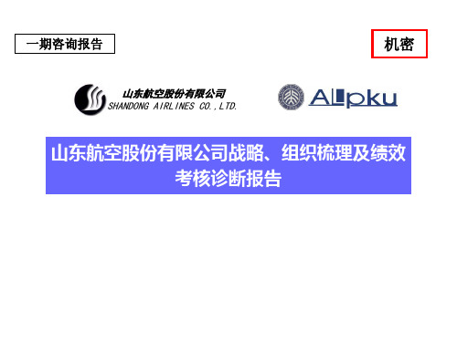 山东航空股份有限公司战略组织梳理及考核诊断终稿