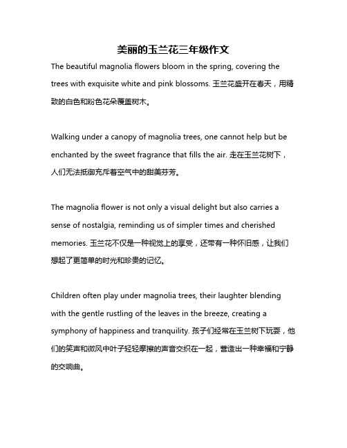 美丽的玉兰花三年级作文