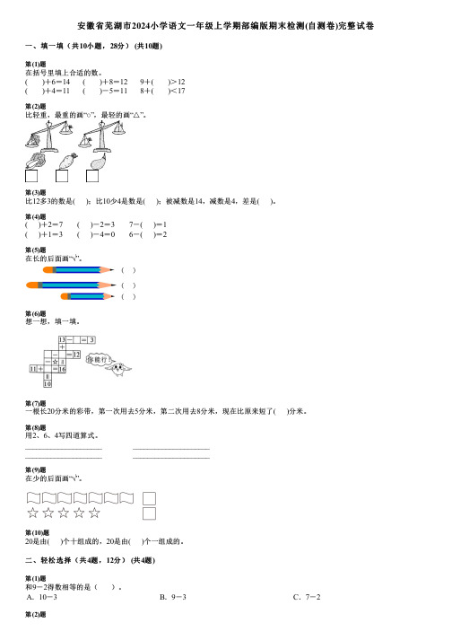 安徽省芜湖市2024小学数学一年级上学期部编版期末检测(自测卷)完整试卷