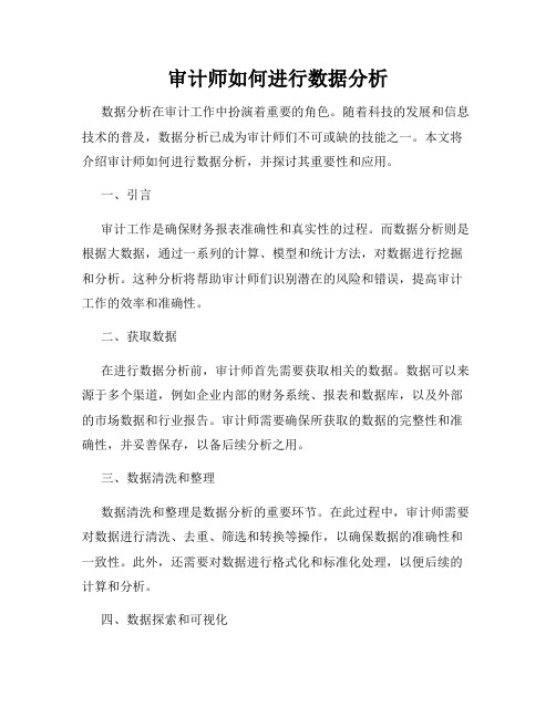 审计师如何进行数据分析