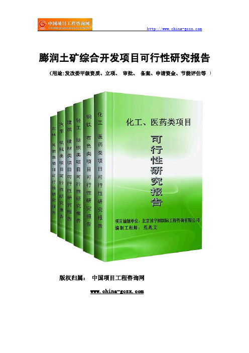 膨润土矿综合开发项目可行性研究报告(专业经典案例)