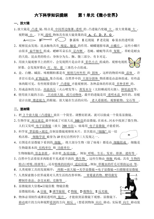 教科版科学六下第一单元 复习提纲