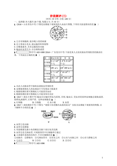 七年级生物下册阶段测评(三)新版济南版