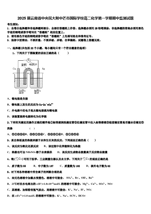 2025届云南省中央民大附中芒市国际学校高二化学第一学期期中监测试题含解析