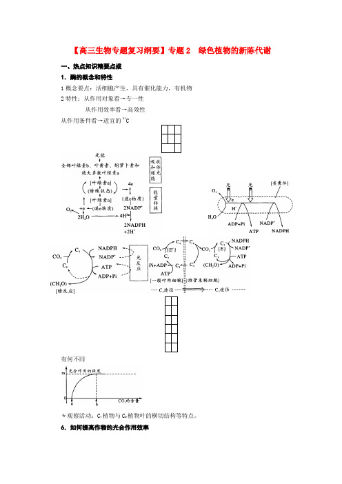 高三生物 专题复习纲要 专题2 绿色植物的新陈代谢