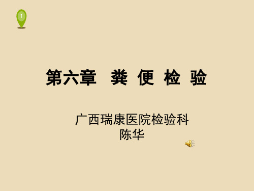 《粪便检验》PPT课件