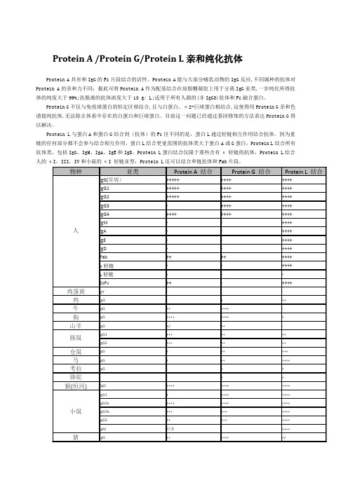 28抗体的纯化——Protein A 、G、L亲和纯化