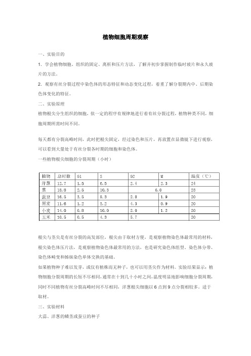 植物细胞周期