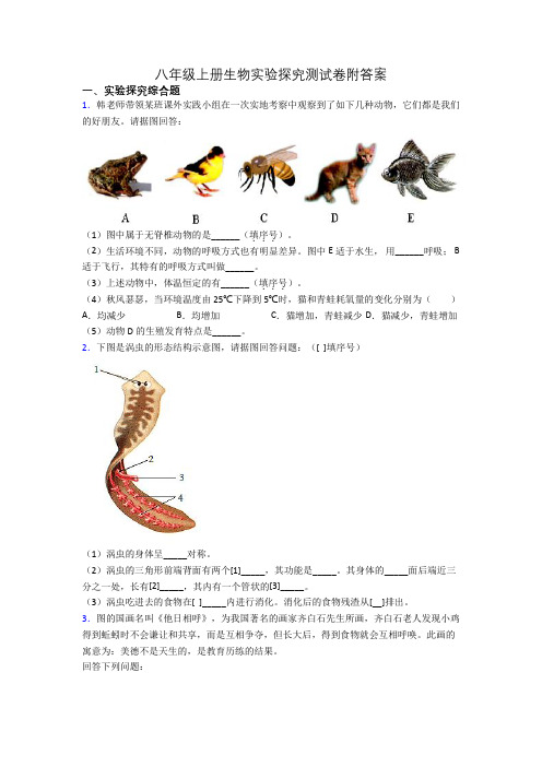 八年级上册生物实验探究测试卷附答案